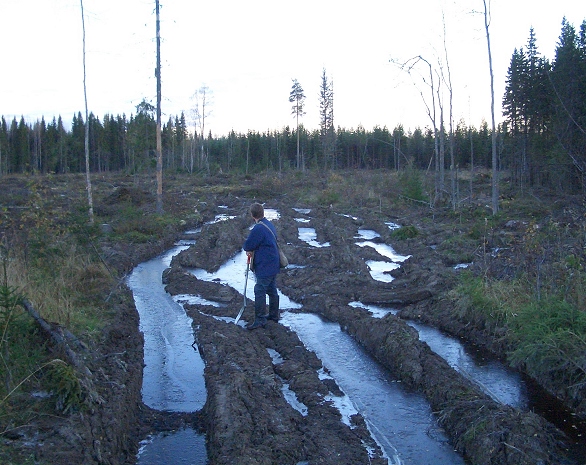 arkeologi ty�ss��n 4