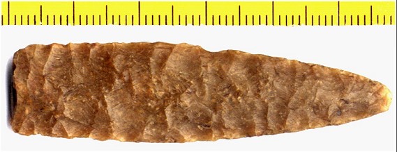 poikkiter�inen nuolenk�rki